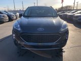 Certified 2022 Ford Escape SEL image 2