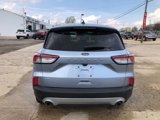 Used 2022 Ford Escape SE image 5