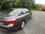 Used 2013 Honda Accord EX-L image 6