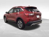 Used 2021 Ford Escape SEL image 3