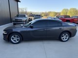 Used 2020 Dodge Charger SXT w/ Blacktop Package image 2