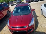 Used 2014 Ford Escape Titanium image 2