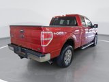 Used 2010 Ford F150 XLT image 3