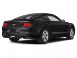 Used 2019 Ford Mustang Coupe image 2
