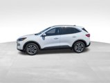 Used 2020 Ford Escape SEL image 3