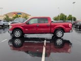 Used 2014 Ford F150 XLT w/ Equipment Group 302A Luxury image 5