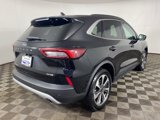 Used 2024 Ford Escape Platinum image 3