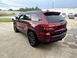 Used 2020 Jeep Grand Cherokee Trailhawk w/ Trailhawk Luxury Group image 5