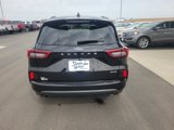Used 2024 Ford Escape ST-Line image 4
