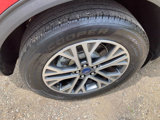 Used 2021 Ford Escape SEL image 6