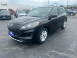 Used 2020 Ford Escape SE image 4