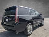 Used 2016 Cadillac Escalade Platinum image 4