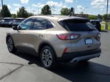 Used 2020 Ford Escape SEL image 4