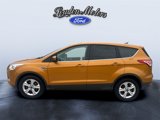 Used 2016 Ford Escape SE image 4