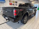 Used 2014 Ford F150 FX4 w/ Equipment Group 402A Luxury image 3