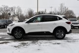 Used 2025 Ford Escape ST-Line w/ Tech Pack #1 image 5