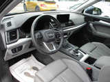 Used 2019 Audi Q5 2.0T Premium Plus w/ Premium Plus Package image 3