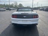 Used 2022 Ford Mustang Premium image 4