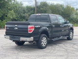 Used 2013 Ford F150 XLT w/ Luxury Equipment Group image 6