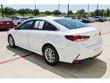Used 2019 Hyundai Sonata SE image 6