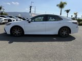 Used 2023 Toyota Camry SE image 6