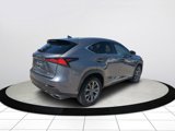 Certified 2021 Lexus NX 300 F Sport image 4