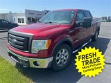 Used 2014 Ford F150 XLT image 3