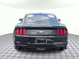 Used 2019 Ford Mustang Coupe w/ Wheel & Stripe Package image 4