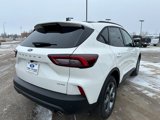 New 2025 Ford Escape ST-Line w/ Tech Pack #1 image 5