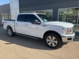 Used 2019 Ford F150 XLT w/ Equipment Group 302A Luxury image 2