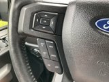 Used 2019 Ford F150 XLT w/ Equipment Group 302A Luxury image 5