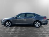 Used 2010 Honda Accord EX-L image 2