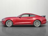 Used 2015 Ford Mustang GT Premium w/ Enhanced Security Package image 4