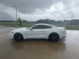 Used 2017 Ford Mustang Premium w/ Wheel & Stripe Package image 5
