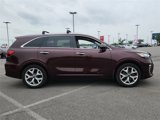 Used 2019 Kia Sorento SX image 2