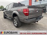 Used 2013 Ford F150 FX4 w/ Luxury Equipment Group image 3