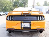 Used 2019 Ford Mustang Coupe w/ Ecoboost Performance Package image 6