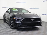 Used 2023 Ford Mustang Premium image 2