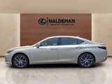 Certified 2022 Lexus ES 300h w/ Premium Package image 4