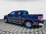 Used 2014 Ford F150 XLT w/ Equipment Group 302A Luxury image 4