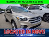 Used 2017 Ford Escape Titanium image 5