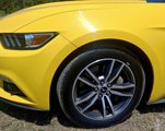 Used 2015 Ford Mustang Premium w/ Ecoboost Performance Package image 3