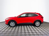 Used 2024 Ford Escape Active image 5