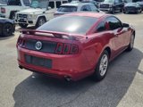 Used 2014 Ford Mustang Coupe w/ Equipment Group 102A image 2