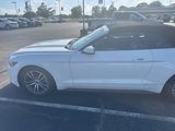 Used 2017 Ford Mustang Premium image 2