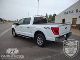 Used 2023 Ford F150 XLT w/ Equipment Group 302A High image 3