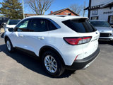 Used 2022 Ford Escape SE w/ Convenience Package image 3