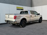 Used 2014 Ford F150 XLT w/ Equipment Group 302A Luxury image 5