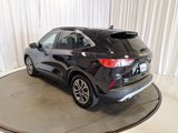 Used 2020 Ford Escape SEL image 5