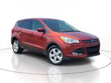 Used 2014 Ford Escape SE image 4